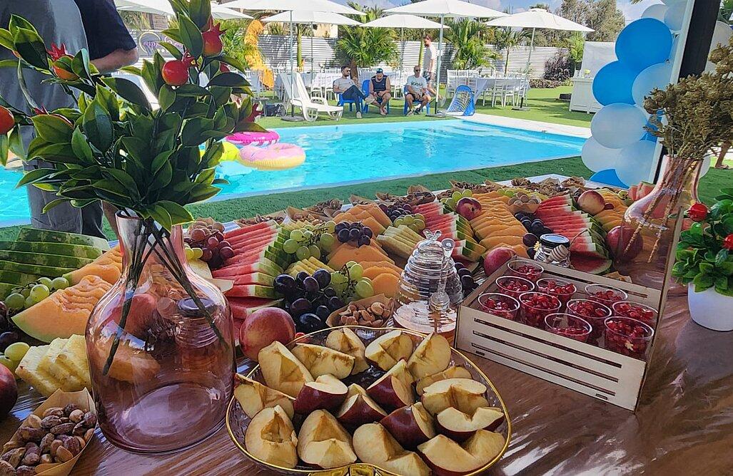 חלום של מקום דרום  40  לופט לנד