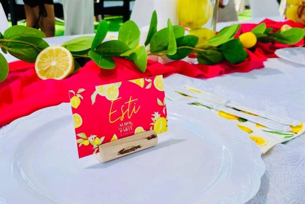 הצבי הירוק דרום  11  לופט לנד