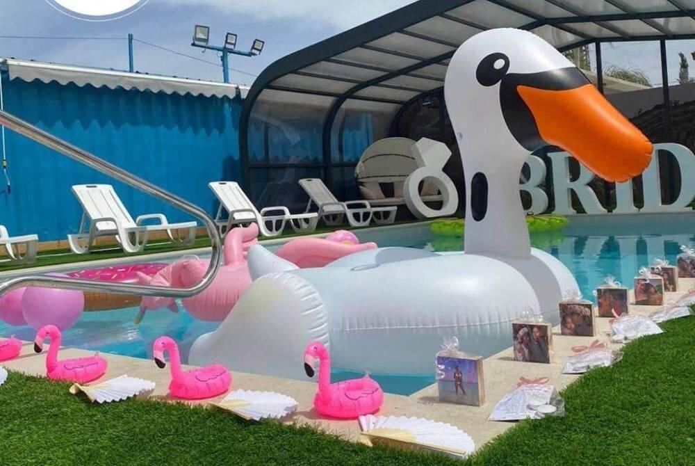 הצבי הירוק דרום  32  לופט לנד