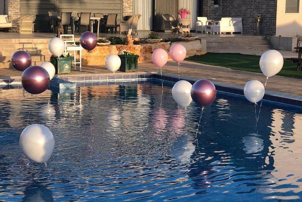 הוילה במשמר השבעה מרכז  17  לופט לנד