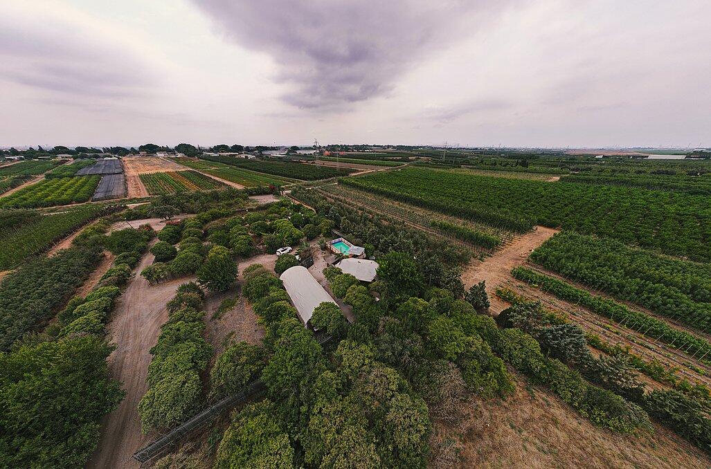 וויליג בר איוונטס מרכז  25  לופט לנד