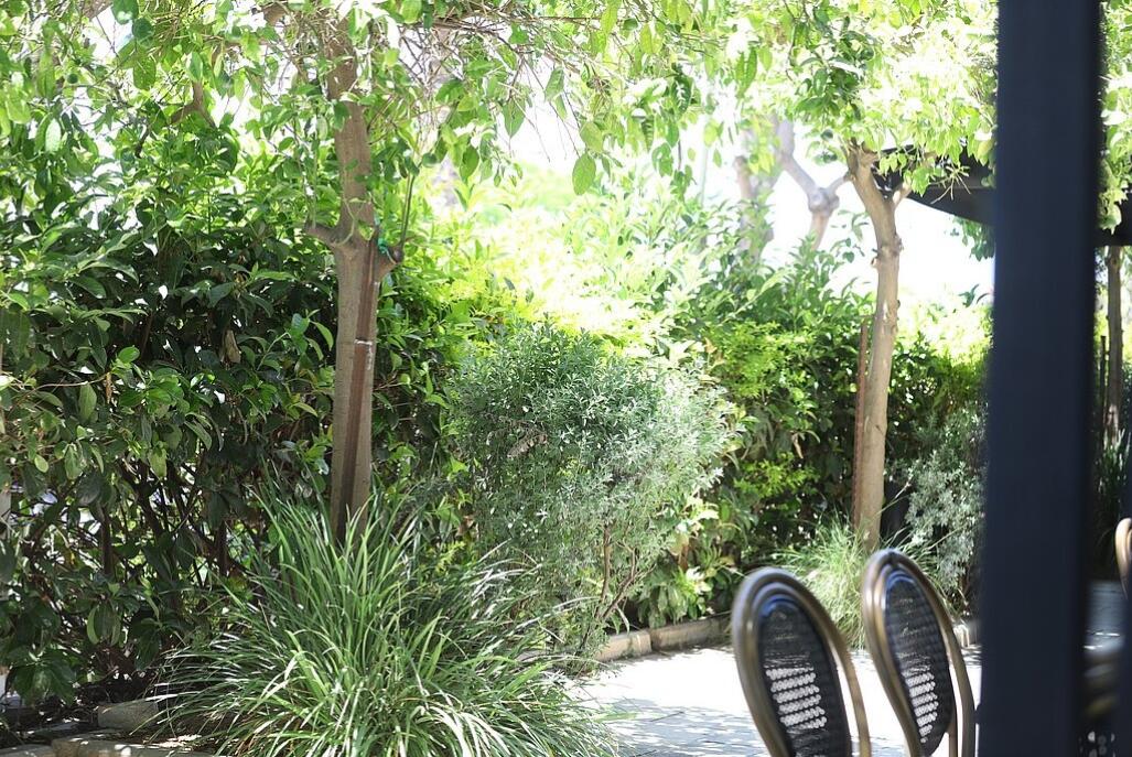 ווסט גארדן - West Garden מרכז  45  לופט לנד