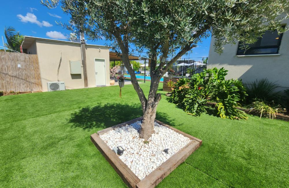 חלום של מקום דרום  36  לופט לנד