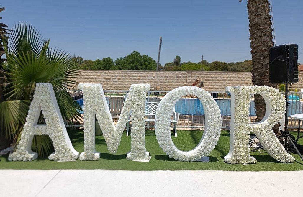 הוילה במשמר השבעה מרכז  28  לופט לנד