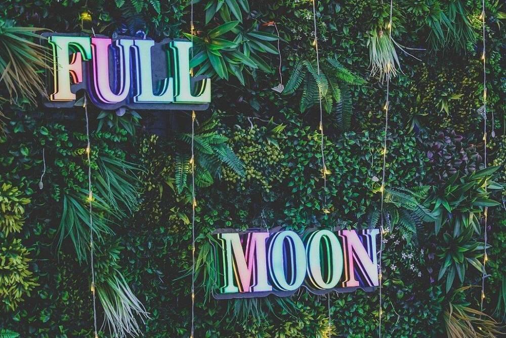 אלמאגו רוף תל אביב מרכז  37  לופט לנד