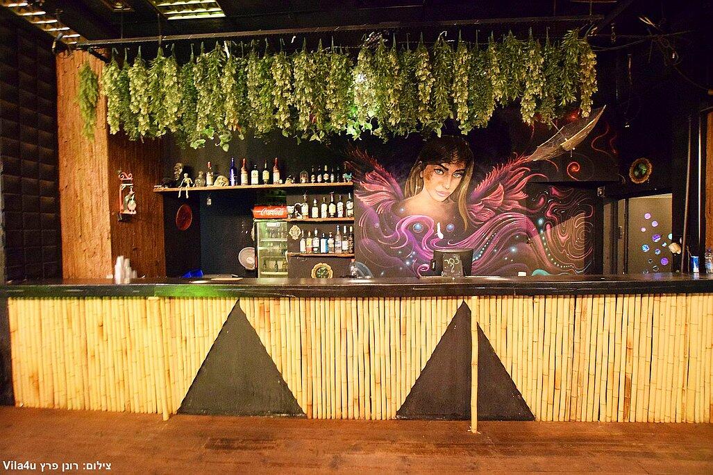 ג'סיקה איוונסט מרכז  11  לופט לנד