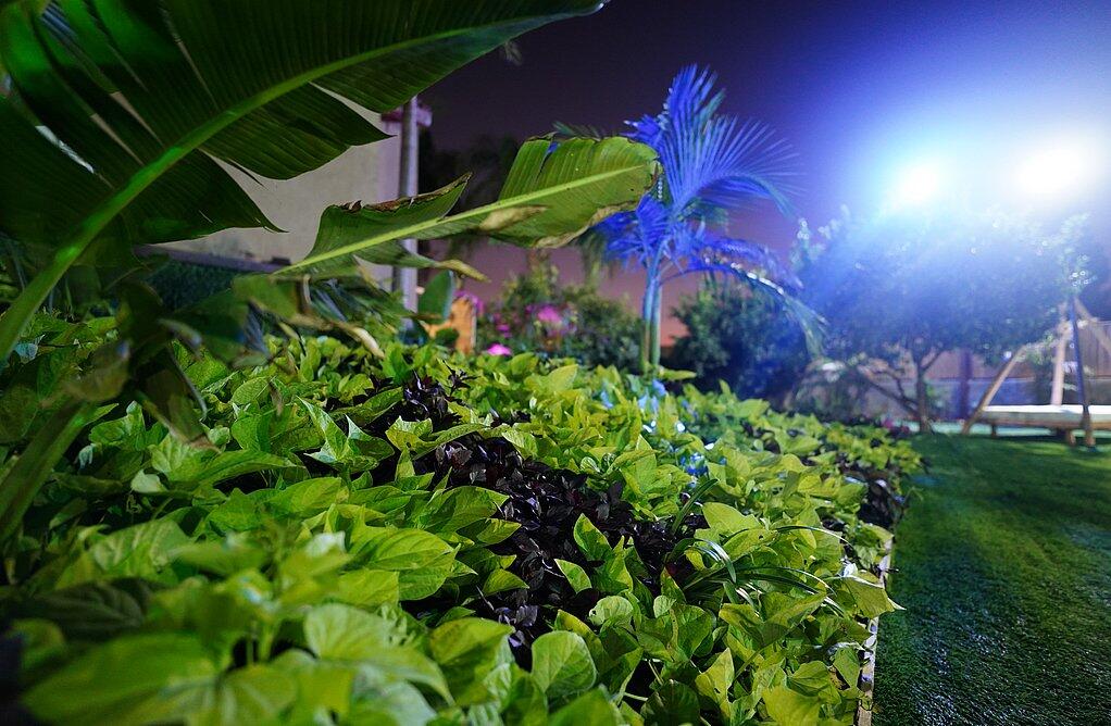 וילה אננדה ריזורט מרכז  31  לופט לנד