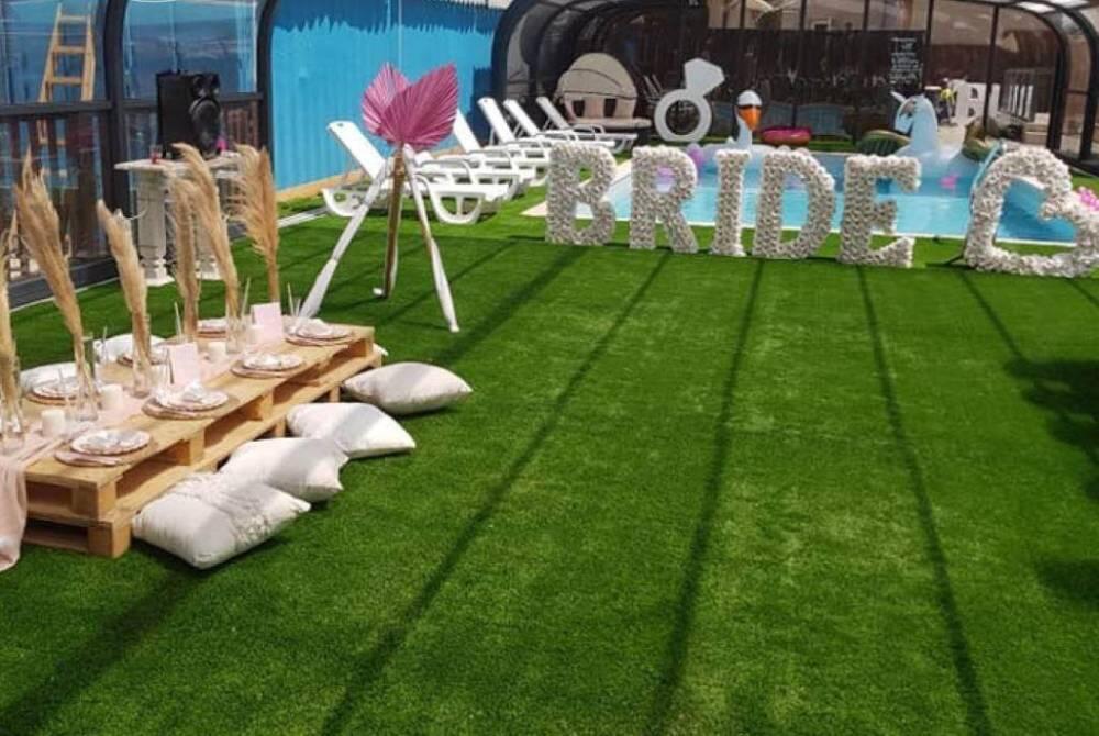 הצבי הירוק דרום  31  לופט לנד