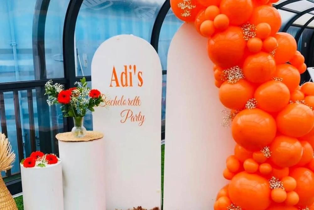 הצבי הירוק דרום  15  לופט לנד