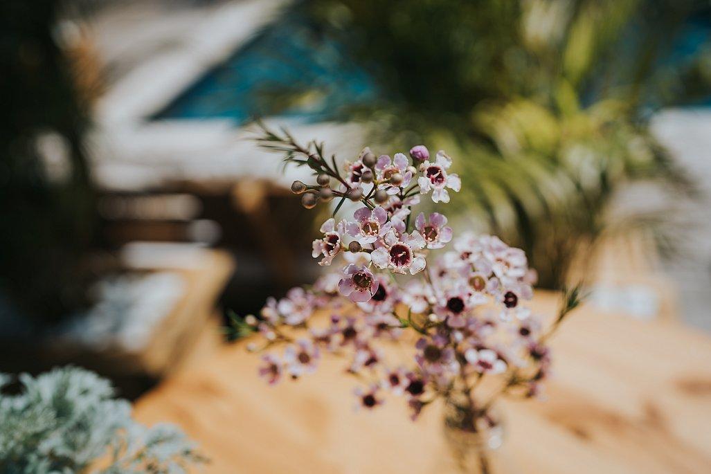 משק 17 מרכז  24  לופט לנד