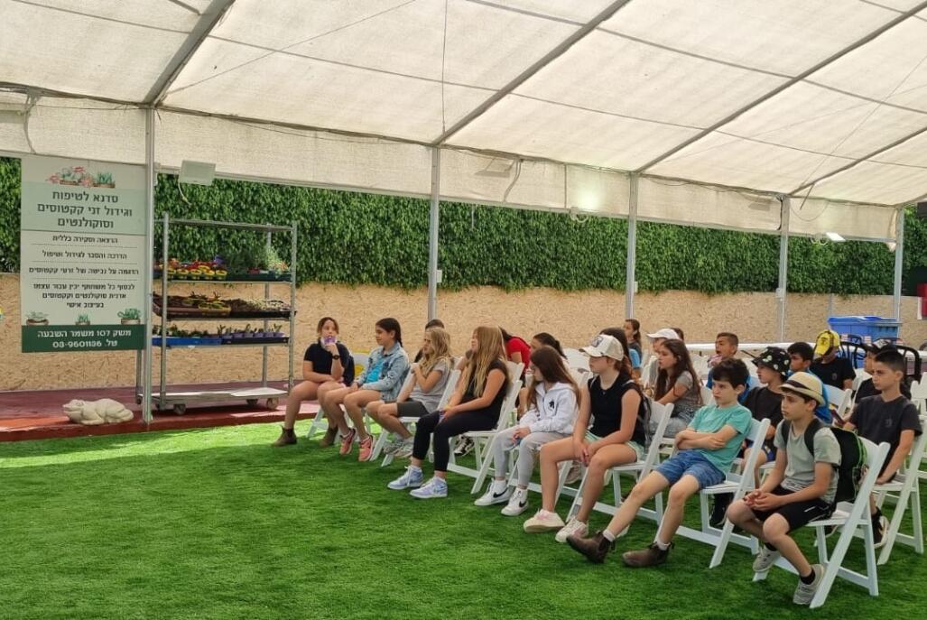 בחצר של אפריים מרכז  13  לופט לנד