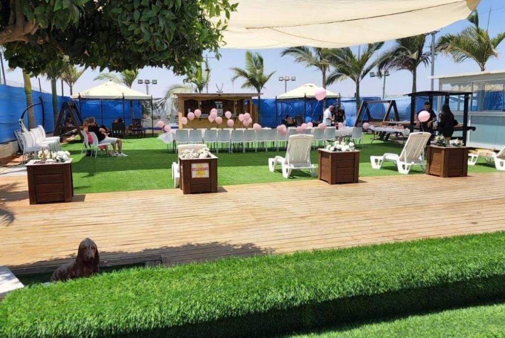 הצבי הירוק דרום  29  לופט לנד