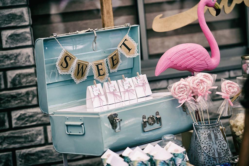 בחצר של אפריים מרכז  15  לופט לנד