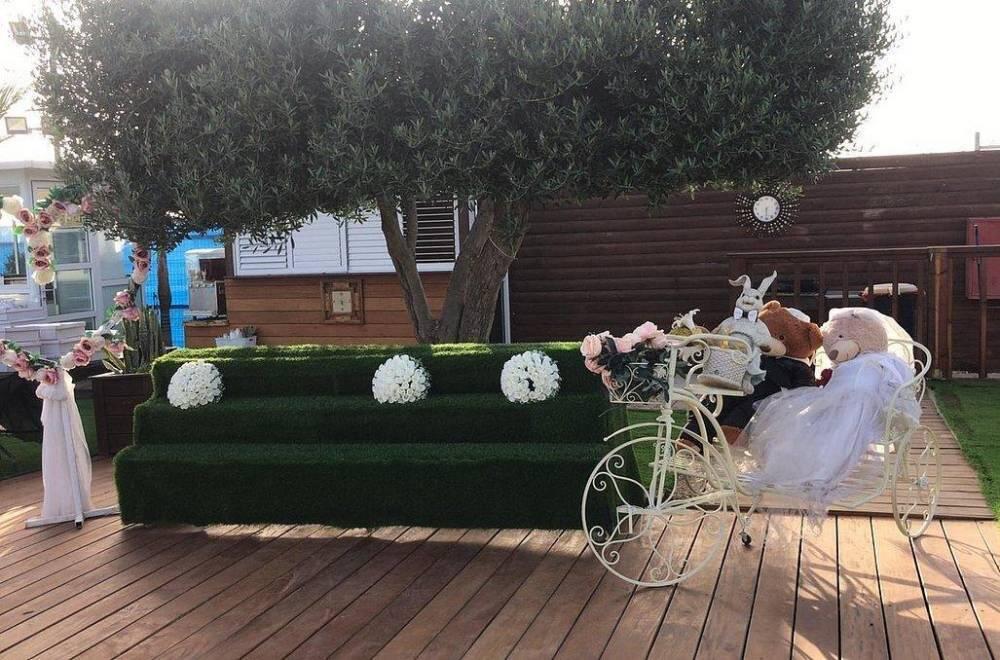 הצבי הירוק דרום  25  לופט לנד