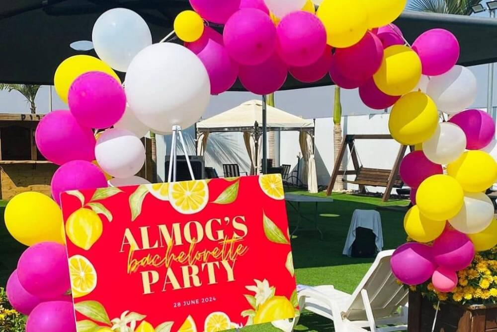 הצבי הירוק דרום  12  לופט לנד