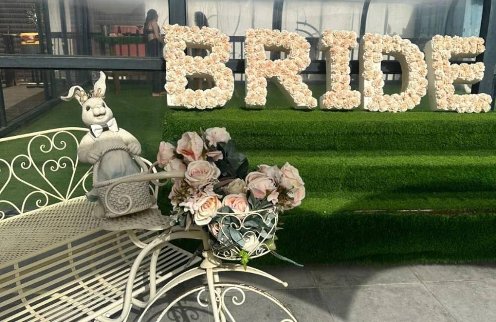 הצבי הירוק דרום  26  לופט לנד