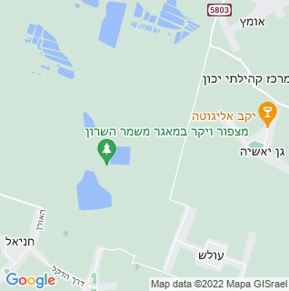 מפה